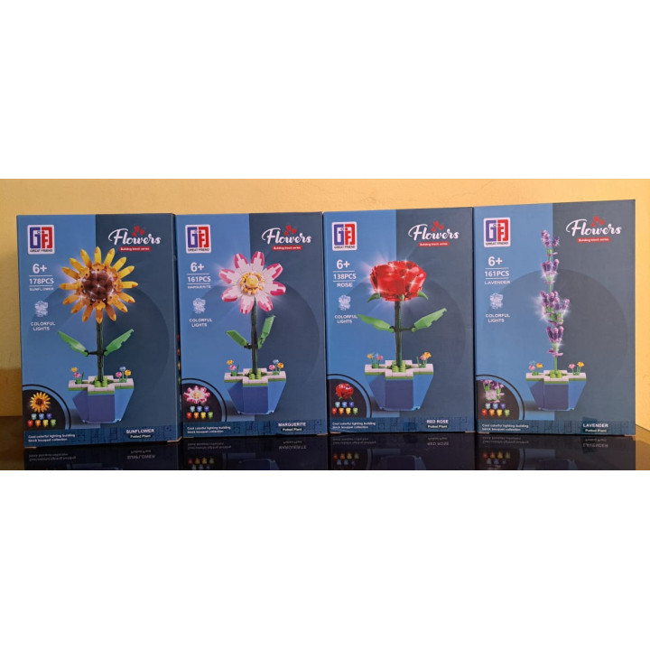 coleccion de plantas en macetas